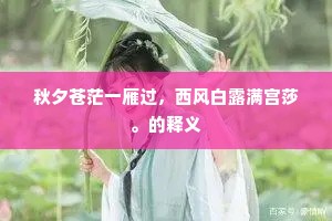 秋夕苍茫一雁过，西风白露满宫莎。的释义