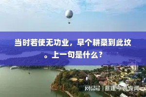 当时若使无功业，早个耕桑到此坟。上一句是什么？