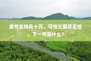 龙节坐持兵十万，可怜三蜀尽无忧。下一句是什么？