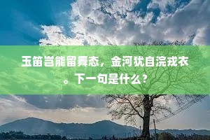 玉笛岂能留舞态，金河犹自浣戎衣。下一句是什么？
