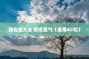 座右铭大全 励志霸气（通用40句）