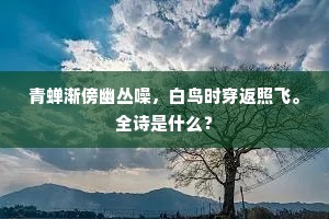 青蝉渐傍幽丛噪，白鸟时穿返照飞。全诗是什么？