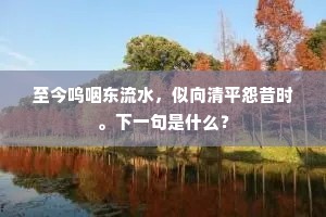 至今呜咽东流水，似向清平怨昔时。下一句是什么？
