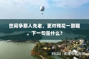 世间争那人先老,更对残花一醉眠。下一句是什么? 世间争那人先老,更对残花一醉眠。下一句是什么?