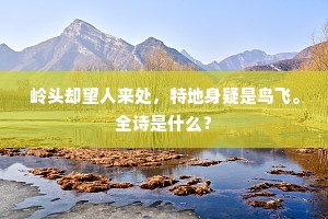岭头却望人来处，特地身疑是鸟飞。全诗是什么？