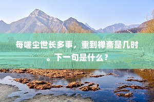 每嗟尘世长多事，重到禅斋是几时。下一句是什么？