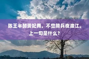 陈王半醉贵妃舞，不觉隋兵夜渡江。上一句是什么？