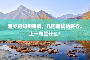 昔岁相知别有情，几回磨拭始将行。上一句是什么？