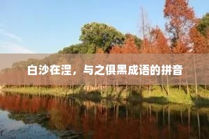 白沙在涅，与之俱黑成语的拼音