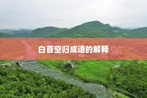 白首空归成语的解释