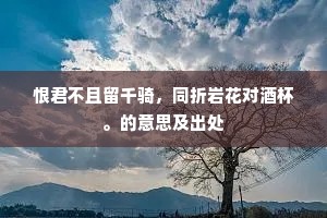 恨君不且留千骑，同折岩花对酒杯。的意思及出处