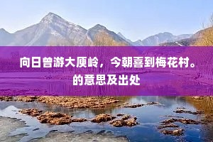 向日曾游大庾岭，今朝喜到梅花村。的意思及出处