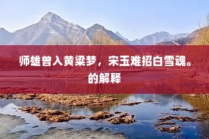 师雄曾入黄粱梦，宋玉难招白雪魂。的解释