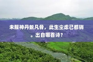 未服神丹蜕凡骨，此生尘虑已都销。出自哪首诗？
