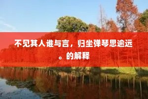 不见其人谁与言，归坐弹琴思逾远。的解释