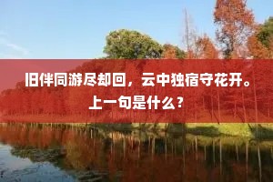 旧伴同游尽却回，云中独宿守花开。上一句是什么？