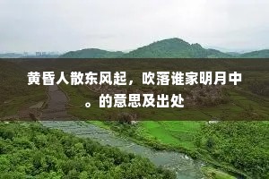 黄昏人散东风起，吹落谁家明月中。的意思及出处