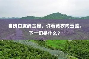 自伤白发辞金屋，许著黄衣向玉峰。下一句是什么？