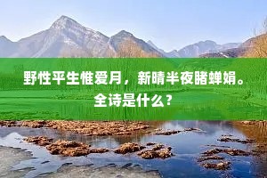 野性平生惟爱月，新晴半夜睹蝉娟。全诗是什么？