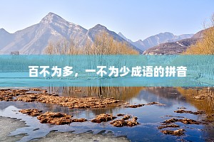 百不为多，一不为少成语的拼音