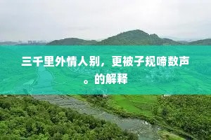 三千里外情人别，更被子规啼数声。的解释