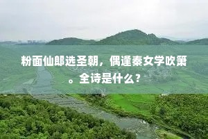 粉面仙郎选圣朝，偶逢秦女学吹箫。全诗是什么？
