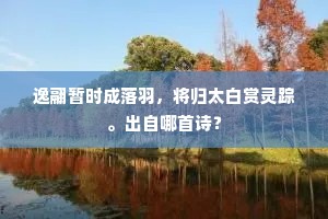 逸翮暂时成落羽，将归太白赏灵踪。出自哪首诗？