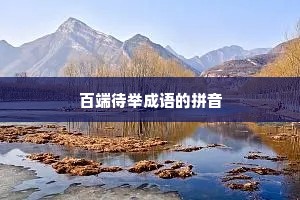 百端待举成语的拼音