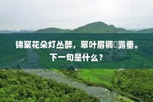锦窠花朵灯丛醉，翠叶眉稠裛露垂。下一句是什么？