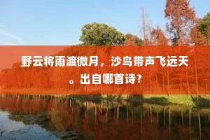 野云将雨渡微月，沙鸟带声飞远天。出自哪首诗？