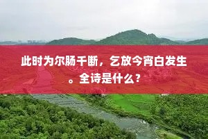 此时为尔肠千断，乞放今宵白发生。全诗是什么？