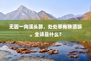 无因一向溪头醉，处处寒梅映酒旗。全诗是什么？