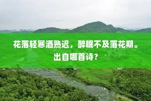 花落轻寒酒熟迟，醉眠不及落花期。出自哪首诗？