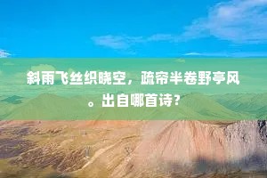 斜雨飞丝织晓空，疏帘半卷野亭风。出自哪首诗？