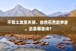 不假土龙呈夭矫，自然石燕起参差。出自哪首诗？