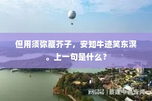 但用须弥藏芥子，安知牛迹笑东溟。上一句是什么？