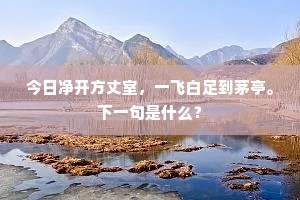 今日净开方丈室，一飞白足到茅亭。下一句是什么？