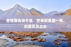 宦情薄去诗千首，世事闲来酒一尊。的意思及出处