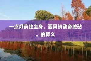 一点灯前独坐身，西风初动帝城砧。的释义