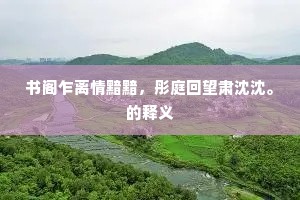 书阁乍离情黯黯，彤庭回望肃沈沈。的释义