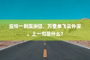 应怜一别瀛洲侣，万里单飞云外深。上一句是什么？