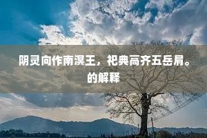 阴灵向作南溟王，祀典高齐五岳肩。的解释