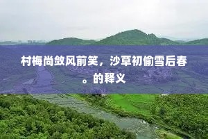 村梅尚敛风前笑，沙草初偷雪后春。的释义