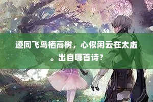 迹同飞鸟栖高树，心似闲云在太虚。出自哪首诗？