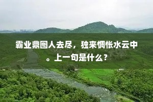霸业鼎图人去尽，独来惆怅水云中。上一句是什么？