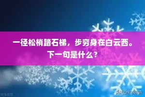 一径松梢踏石梯，步穷身在白云西。下一句是什么？