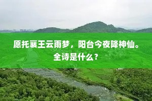 愿托襄王云雨梦，阳台今夜降神仙。全诗是什么？