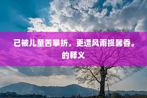 已被儿童苦攀折，更遭风雨损馨香。的释义