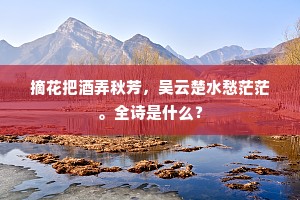 摘花把酒弄秋芳，吴云楚水愁茫茫。全诗是什么？