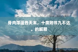 骨肉萍蓬各天末，十度附书九不达。的解释